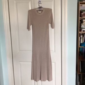 Aritzia Wilfred Brotteaux Dress